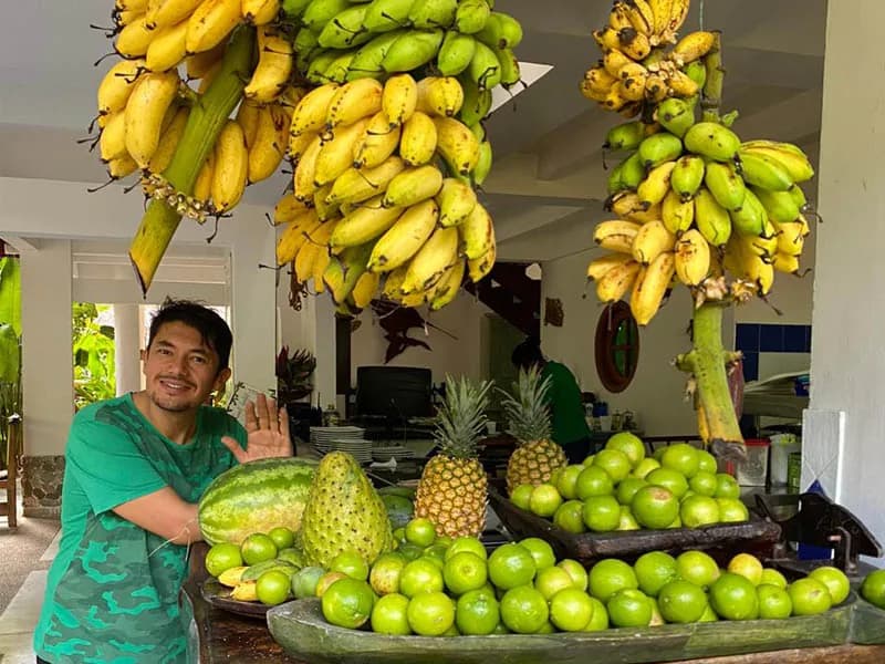 Cosecha de banano, piña y cítricos de la finca