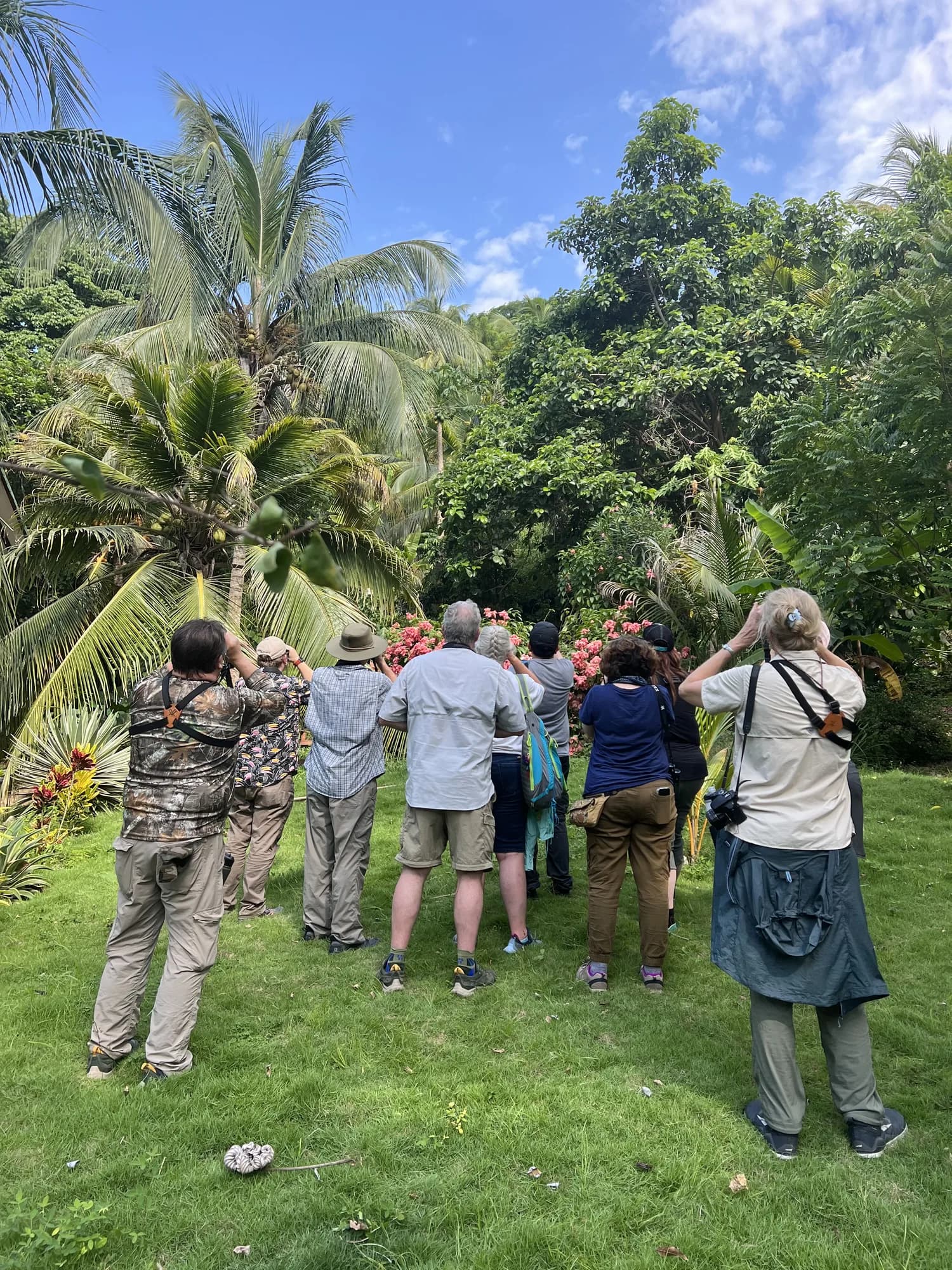 Grupo de observadores de aves con binoculares y cámaras en la finca