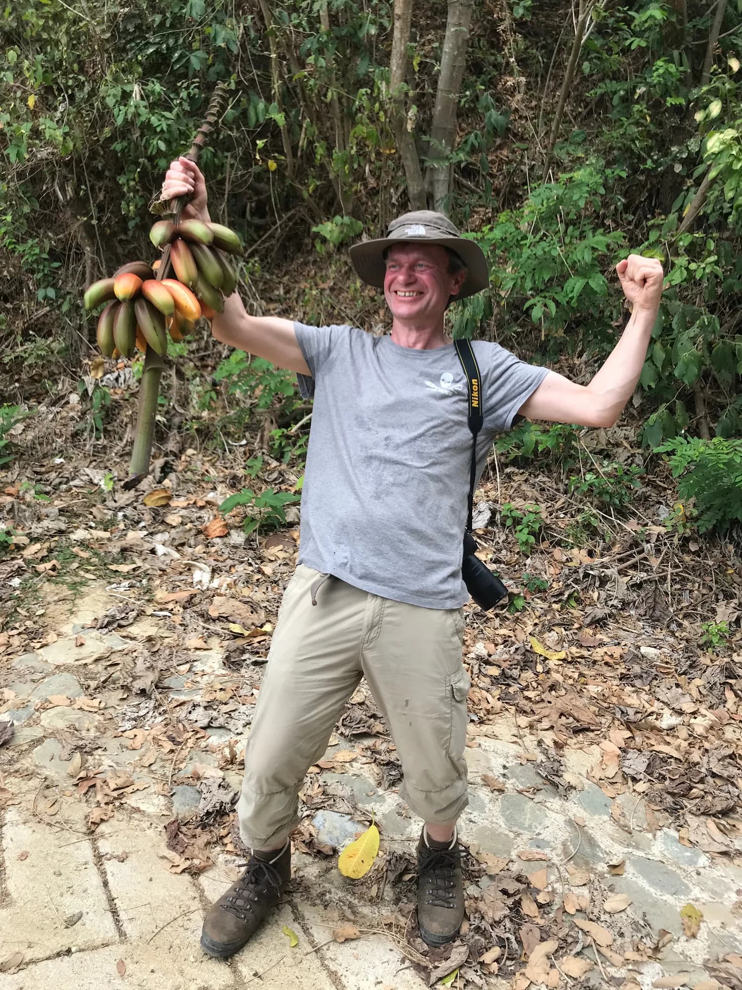 Viajero sosteniendo un racimo de banano recién cortado en la finca