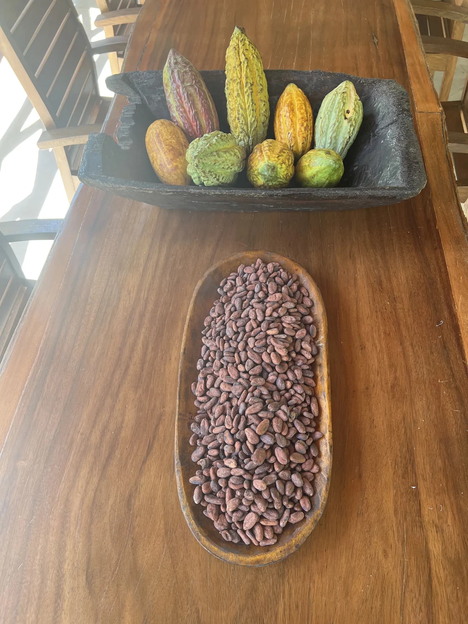 Mazorcas de cacao y granos secos sobre una mesa de madera