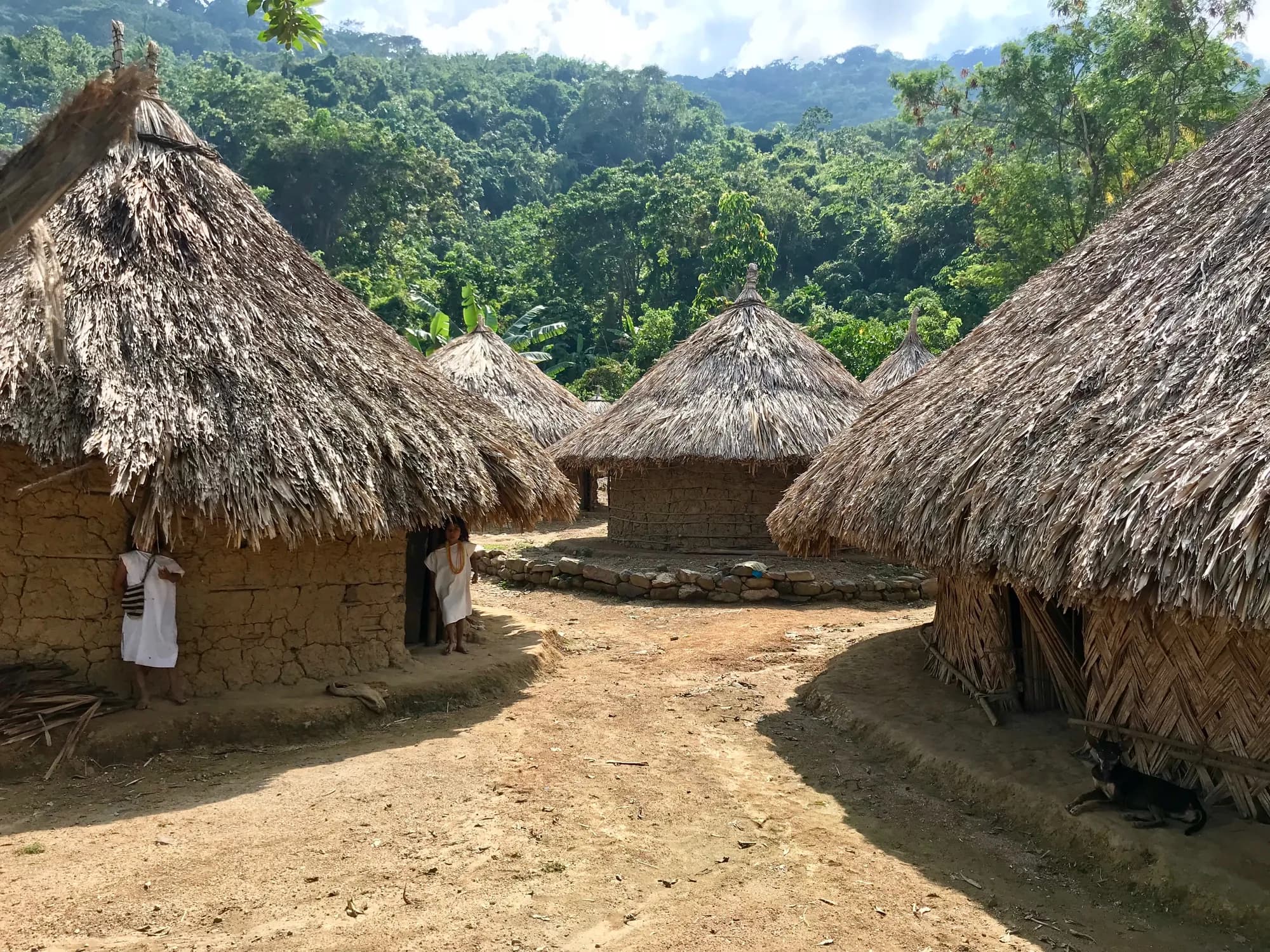 Casas de techo de palma del pueblo Kogui, en la Sierra Nevada