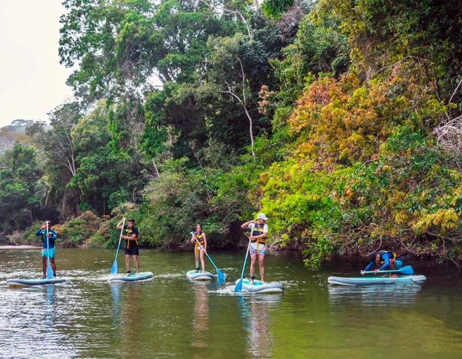 Grupo remando de pie sobre tablas de paddle en el río Don Diego