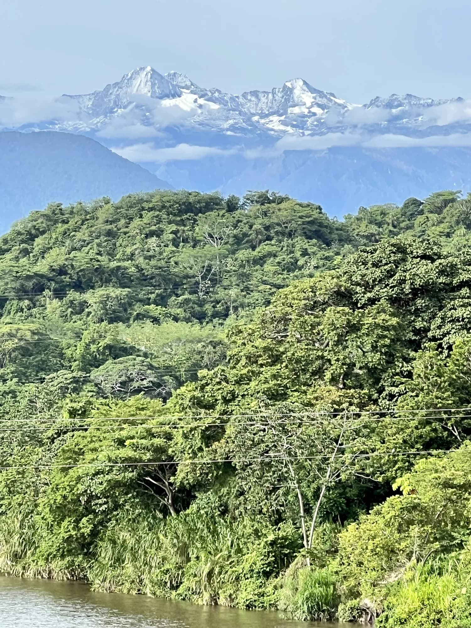 Los picos nevados de la Sierra Nevada asomando sobre el bosque